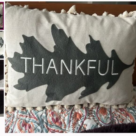 New - Thankful pillow - NWOT - Picture 1 of 1